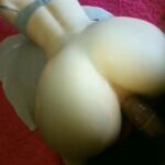 Чон котогу менен кыздын котуну жыртып салды